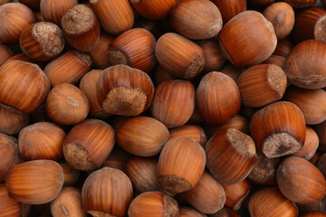 Hazelnuts. Food background, photo wallpaper.Heap or stack of hazelnuts. Hazelnut background, healty food. Food Frame Background, macro detailed close up.