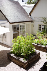 Planters and gravel path in backyard
