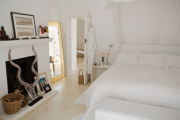 Canopy bed in modern bedroom