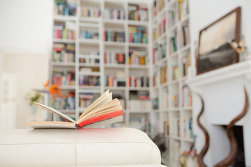 Open book on arm of sofa in living room