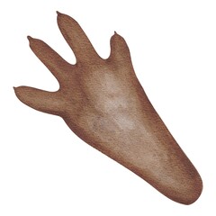 Hand drawn watercolor hare paw print of a forest animal isolated on white background. Use for poster, print, postcard, card, template, textile, fabric, pattern, stickers