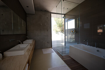 Shower and bath in modern bathroom
