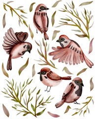 Hand drawn watercolor  set of sparrows and branches and leaves in cute  cartoon style,illustration isolated on white.