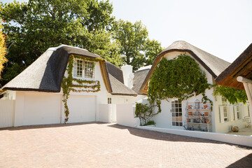 Ivy growing on wall in backyard