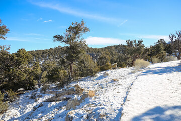 Mount Charleston recreation area, Nevada