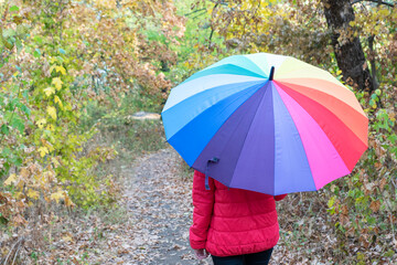 Close up image of female hiden under big colorful umbrella in autumn park with bright yellow leaves, rainy autumn season.