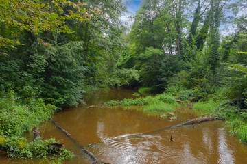 Mała, nieuregulowana, dzika rzeka płynąca pośród gęstych zarośli. Po intensywnych opadach deszczu woda ma brązowy kolor.