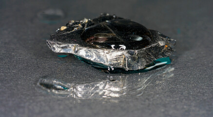 Shungit is a black rock that consists mainly of carbon and was photographed in top quality and studio quality.