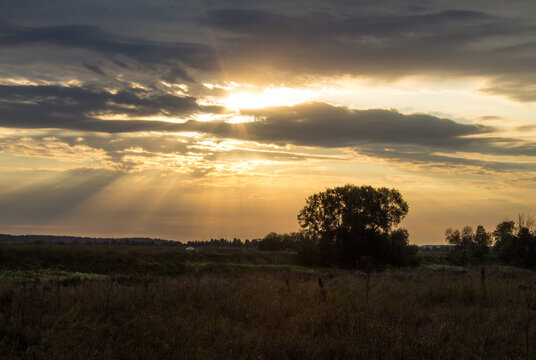 A beautiful landscape - a dramatic sky with sun rays through the clouds above the horizon and the silhouette of a tree on a meadow in the early summer morning © Inna