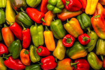 colorful ripe bell peppers background