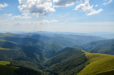 Fototapeta premium A wonderful summer view of the Carpathian mountain slopes, densely covered with green forest. Borzhava ridge, Transcarpathia, Ukraine