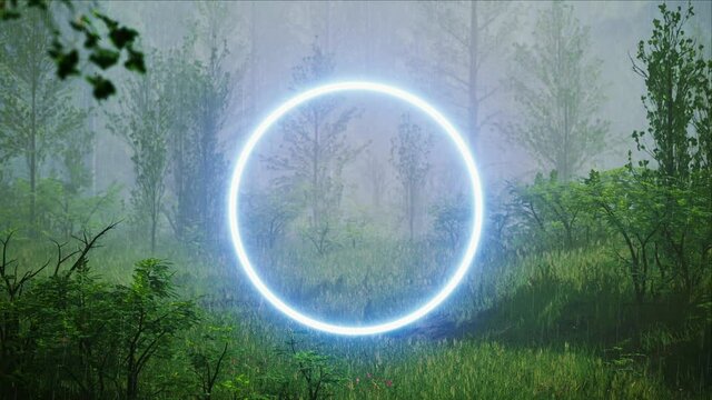 Glowing Blue Circle Light in the Rainy Foggy Forest