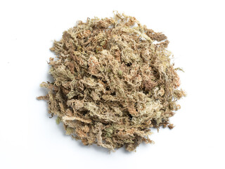 Sphagnum moss used for plant propagation or plant the orchid