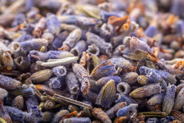 close up of dried lavender