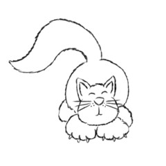 Cute Cartoon Fluffy Cat Illustration 