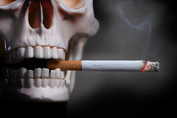 Human skull smokes a cigarette on a black background. Plastic Human Skull Model with Burning...