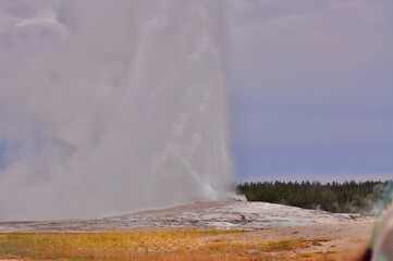 Old Faithful