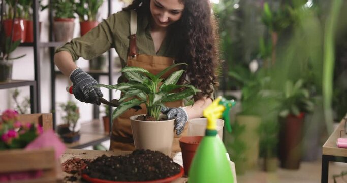 Rese Bilder Durchsuchen 648 Archivfotos, und Videos