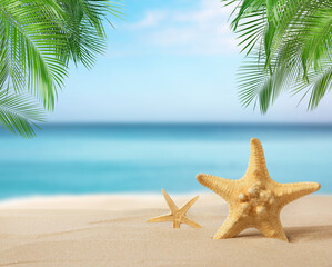 Fototapeta na wymiar Beautiful sea stars on sandy beach. Space for text
