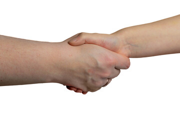 shaking hands of a girl by her mother isolated on a white background