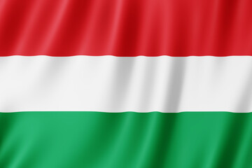 Obraz premium Hungary flag