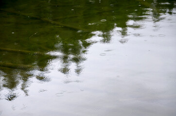 rain on Moose Lake reflection in cloudy day in summer in Jasper in Banff National Park, Alberta, Canada