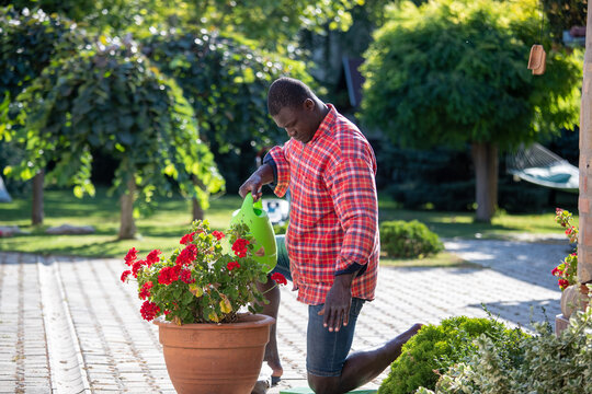 African Man Watering Plants In Garden