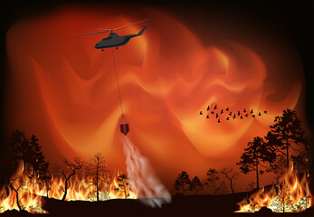 Vector forest fire, pine trees in fire flames. A helicopter extinguishes a forest fire