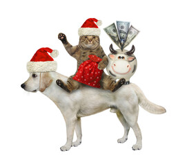 A beige cat in a Santa Claus hat with a sack of gifts and a piggy bank rides a dog labrador. White background. Isolated.