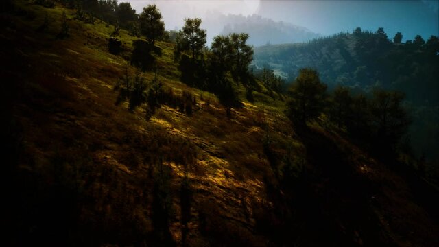 autumn forest on green rocky hills