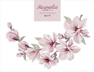 Vector vintage floral for gift wrap, fabric, cover and interior design with flowers.  Magnolia flowers and leaves. 