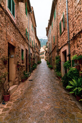 narrow street with plants in old mountain town