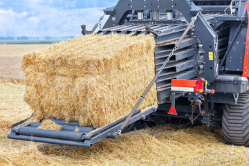 The process of harvesting grain in an agricultural field, forming sheaves of straw into tight...