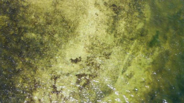 Close-up of a drone shot over green smooth water surface