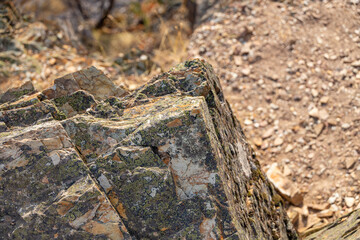 Lichen Crust on Rocks close-up
