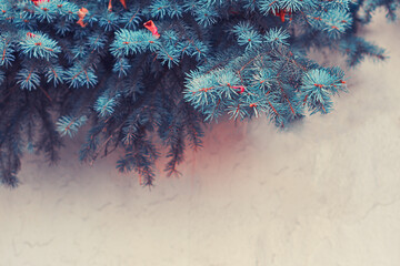 Branches of a blue Christmas tree and a concrete wall, copy space for text
