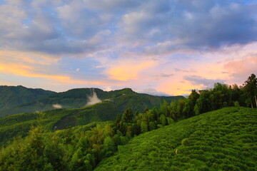 Beautiful landscape of dawn with mountains and green trees under blue sky
