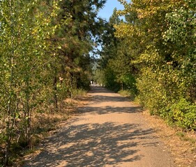 Obraz premium Trail Photos