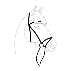 Horse. Vector illustration of a horse. One line-art isolated on white background
