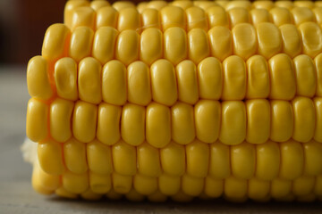 corn cob grains in macro. raw vegetable fruits