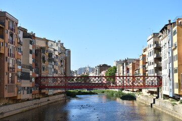 Fototapeta na wymiar Puente en un rio con edificios