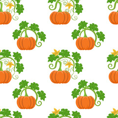 Pumpkins in a white background.  
Seamless pattern, vector.