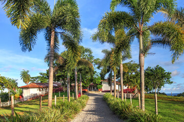 Tropical estate, Isla Boca Brava, Panama