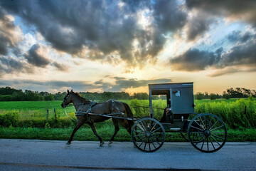 Fototapeta na wymiar Amish horse and buggy early morning