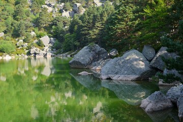 Rocks and pines next to the Black Lagoon and its green water. Photo taken at sunrise, Soria, Spain.