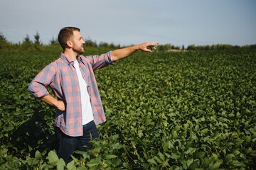 Young handsome agriculture engineer on soybean field with tablet in hands in early summer