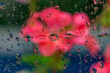 Raindrops on the window. In the background, a blurred image of a flower.