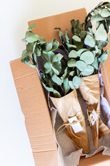 Mailbox with green eucalyptus leaves in. White background. Flat lay, top view. Flower Shop Concept.