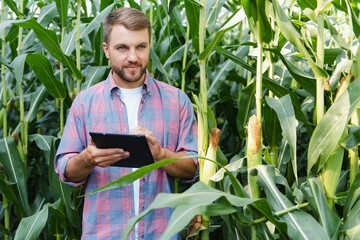 Male farmer checking plants on his farm. Agribusiness concept, agricultural engineer standing in a corn field with a tablet, writes information. Agronomist inspects crops, plants.