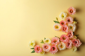 beautiful flower arrangement on a colored background with place for text. 